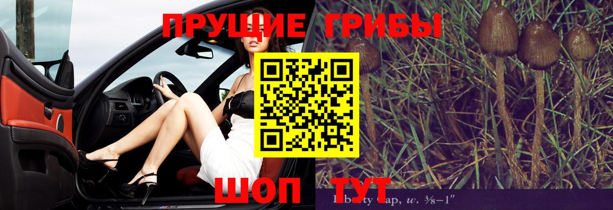 Галлюциногенные грибы Cubensis  Вход с VPN  Алексеевка 