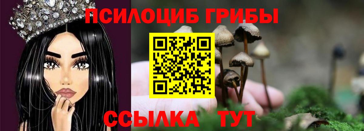 Псилоцибиновые грибы Psilocybine cubensis Алексеевка